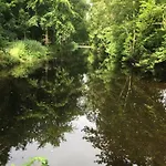 De Vuurdoorn * Bergen