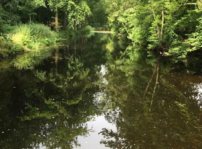 De Vuurdoorn * ベルゲン