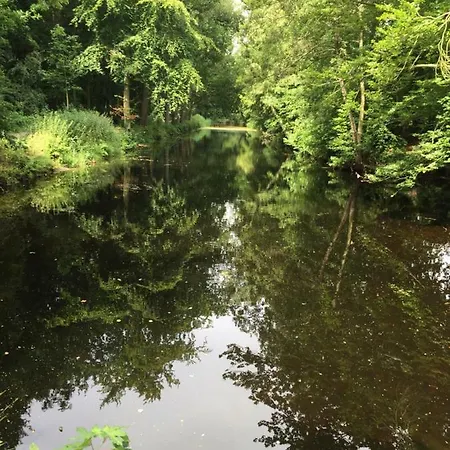 De Vuurdoorn * Bergen