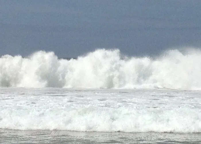 De Vuurdoorn Nyaraló